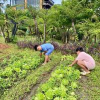 Bán Đất Nghỉ Dưỡng 150m2 sở hữu 3 view Đồi Thông, Đồi Chè, Hồ Suối Tự nhiên