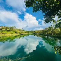 Bán Đất Nghỉ Dưỡng 150m2 sở hữu 3 view Đồi Thông, Đồi Chè, Hồ Suối Tự nhiên
