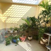 HIẾM NGANG 4.3M Nhà Đẹp 50M² 3 Tầng HXH Phan Huy Ích P12 Gần Emart2 6x Tỷ TL!