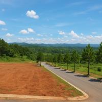 SUN VALLEY NGHỈ DƯỠNG XANH, ĐẦU TƯ SINH LỜI