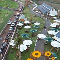 SUN VALLEY NGHỈ DƯỠNG XANH, ĐẦU TƯ SINH LỜI