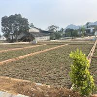 CHỈ VỚI 3xxTRIỆU - CƠ HỘI TĂNG TÀI SẢN BỨT PHÁ