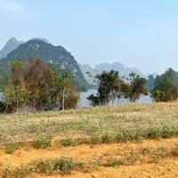 Phân phối Biệt Thự nghỉ dưỡng, Shophouse