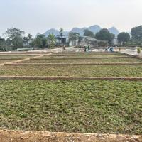 ✨ NHỮNG LÔ ĐẤT CUỐI CÙNG – TẠI TRUNG TÂM AN BÌNH CHỈ 195 TRIỆU/LÔ ☀ ☀