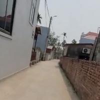 Cần Bán Lô Đất 52m² Khu Phân Lô Ngõ 219 Cát Linh, Hải An, Hải Phòng – Giá Tốt, Sổ Đỏ Chính Chủ