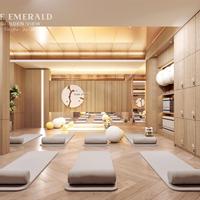 Chỉ 2,x tỷ sở hửu ngay căn 67n2 tại Emerald Garden VIew view hồ bơi giải pháp an cư tuyệt vời