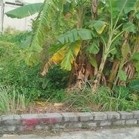 ĐẤT TÂN THÀNH – DƯƠNG KINH – 100M² NGANG 5M – TRỤC NGÕ 5M ĐẸP – GIÁ HIẾM  ZALO 0567 222 555