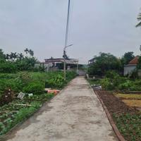 Giá 1,x tỷ  Lô nhà vườn tuyến 2 Hòa Nghĩa – Gần khu Vin  Có thêm đất 03 phía sau  ZALO 0567 222 555