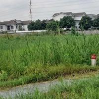 BÁN ĐẤT TÁI ĐỊNH CƯ – KHU ĐẠI NHÂN, VẠN PHÚC CITY, QUỐC LỘ 13, HIỆP BÌNH PHƯỚC, THỦ ĐỨC