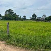 850 triệu lô đất 237m2 thổ cư Hẻm Lý Thái Tổ, Tân Hải, Lâm Đồng ( LaGi cũ )