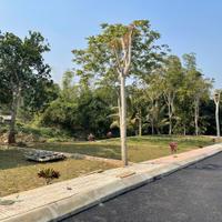 Đất nghỉ dưỡng gần Serena Resort Kim Bôi, Hòa Bình 3xx sẵn sổ