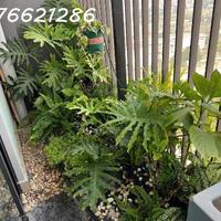 BÁN CĂN GÓC BÌNH MINH GARDEN – 104m² – 3 NGỦ – 2WC – GIÁ 8,X TỶ – FULL NỘI THẤT CAO CẤP– VIEW CẦU