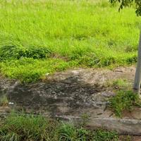 CẦN BÁN 100M2 ĐẤT THỔ CƯ TRONG KDC 47HA AN PHÚ TÂY
