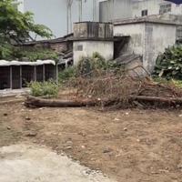 Bán đất 76m2 Quỳnh Hoàng An Dương Hải Phòng