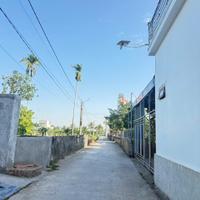 2 lô liền kề Quyết Tiến – Đồ Sơn  Tài chính hiếm dưới 1 tỷ/lô, phù hợp mua ở & đầu tư giữ tiền