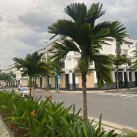 Richland Residence Hòa Lợi – Đất sổ riêng, giá tốt ngay trung tâm Bến Cát