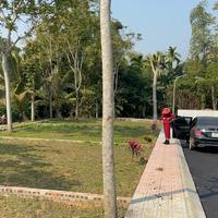 Nhà Đầu Tư Giữ Tiền Đang Âm Thầm Gom Đất Kim Bôi Giá 3xx