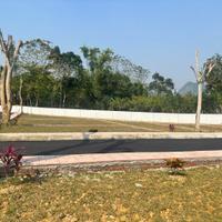 Nhà Đầu Tư Giữ Tiền Đang Âm Thầm Gom Đất Kim Bôi Giá 3xx