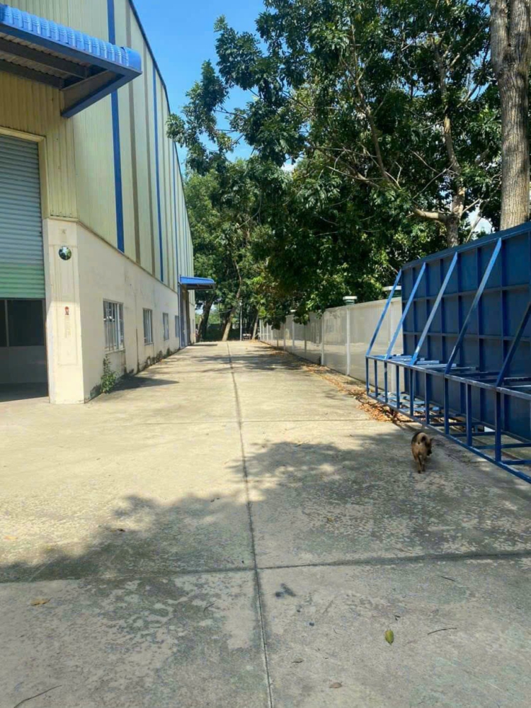 Cho thuê xưởng 4000m2 tại An Điền, Bến Cát, Bình Dương