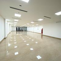 Cho Thuê Tòa Văn Phòng 9 Tầng MP Hàng Chuối. DT 230m2.MT 11m.Vị Trí Lô Góc. Giá 500tr/th