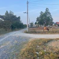 Bán 12m đất thổ cư Hẻm Đinh Bọ Lĩnh, Phước Hội, LaGi giá mềm