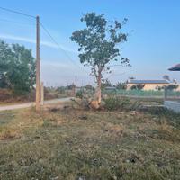 Bán 12m đất thổ cư Hẻm Đinh Bọ Lĩnh, Phước Hội, LaGi giá mềm