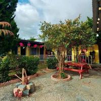 CHO THUÊ HOMESTAY SÂN VƯỜN _ P.8 ĐÀ LẠT _ CÁCH HỒ 100M