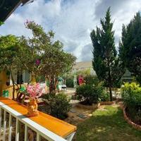 CHO THUÊ HOMESTAY SÂN VƯỜN _ P.8 ĐÀ LẠT _ CÁCH HỒ 100M