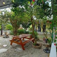CHO THUÊ HOMESTAY SÂN VƯỜN _ P.8 ĐÀ LẠT _ CÁCH HỒ 100M
