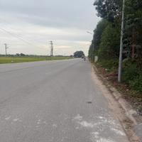 Bán đất đấu giá Xuân Phú, Yên Dũng, Bắc Giang: 90m2 - MT 5m. Đường 32m - giá 3,9 tỷ