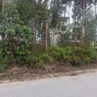 Bán đất đấu giá Xuân Phú, Yên Dũng, Bắc Giang: 90m2 - MT 5m. Đường 32m - giá 3,9 tỷ