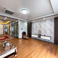 Bán nhà tuyến 2 Bùi Viện - Dự án WaterFront City - 114m 5 tầng - Thang Máy