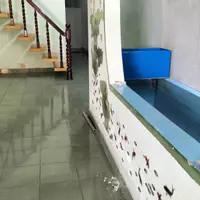 Cho Thuê Nhà Phong Châu – 120m² – Hẻm Ô Tô – Chỉ 6tr/th