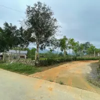 Bán đất nền cạnh dự án Thôn Bình Minh,Xã Quy Mông,Huyện Trấn Yên,Yên Bái