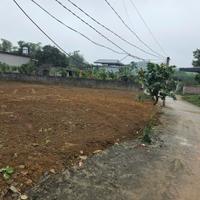 Đất Trung Tâm Ba Hàng Đồi – Sổ Sẵn 100% Thổ Cư – Chỉ Hơn 300 Triệu, Cơ Hội Đầu Tư Hiếm!
