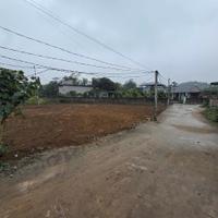Đất Trung Tâm Ba Hàng Đồi – Sổ Sẵn 100% Thổ Cư – Chỉ Hơn 300 Triệu, Cơ Hội Đầu Tư Hiếm!