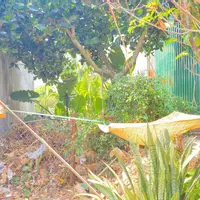 Mặt tiền phạm ngũ lão, trung tâm sầm uất của đức trọng, lâm đồng