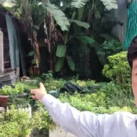 Đất mặt tiền đường Hoàng Ngân , Gần UBND phường Hòa Xuân,Đà Nẵng