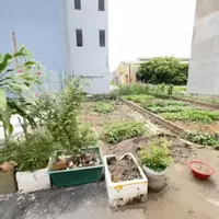Bán lô đất 50m2 Bạch Mai An Hải Hải Phòng