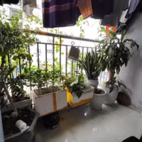 Chủ Nhà Bán Gấp Căn 72m² 2pn, Giá Chỉ 2,7x Tỷ