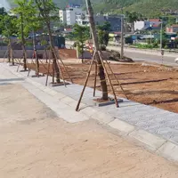 CHỈ VỚI 2,5 TỶ SỞ HỮU NGAY ĐẤT NỀN SÁT VIN HẠ LONG XANH, ĐÓN ĐẦU GA TOD VINSPEED