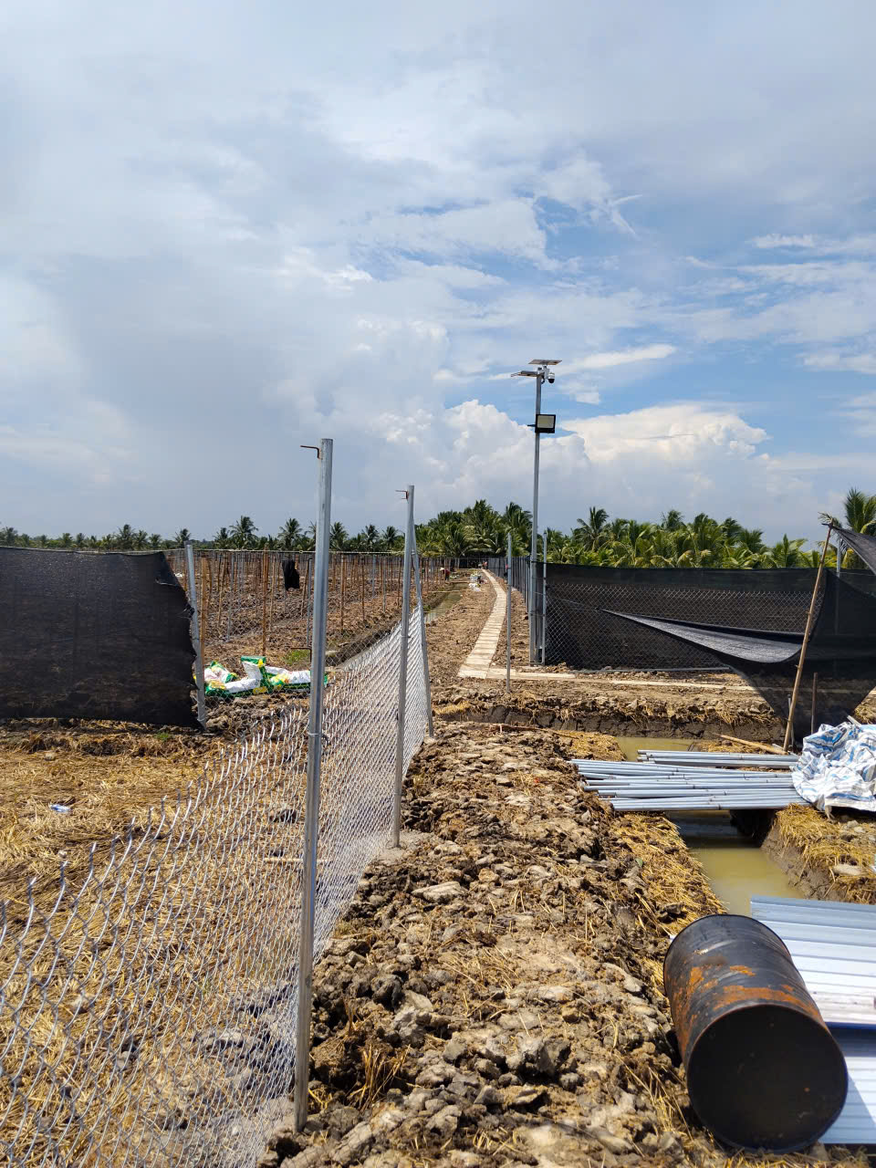 CẦN BÁN ĐẤT SKC QUY MÔ LỚN Ở TIỂU CẦN - TRÀ VINH