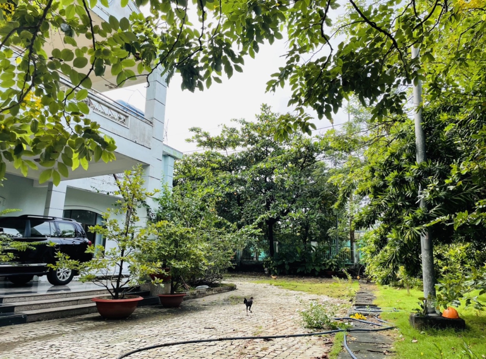 CHO THUÊ KHO XƯỞNG 25000m2 KHU CONG NGHIÊP HIÊP PHƯỚC GIÁ RẺ
