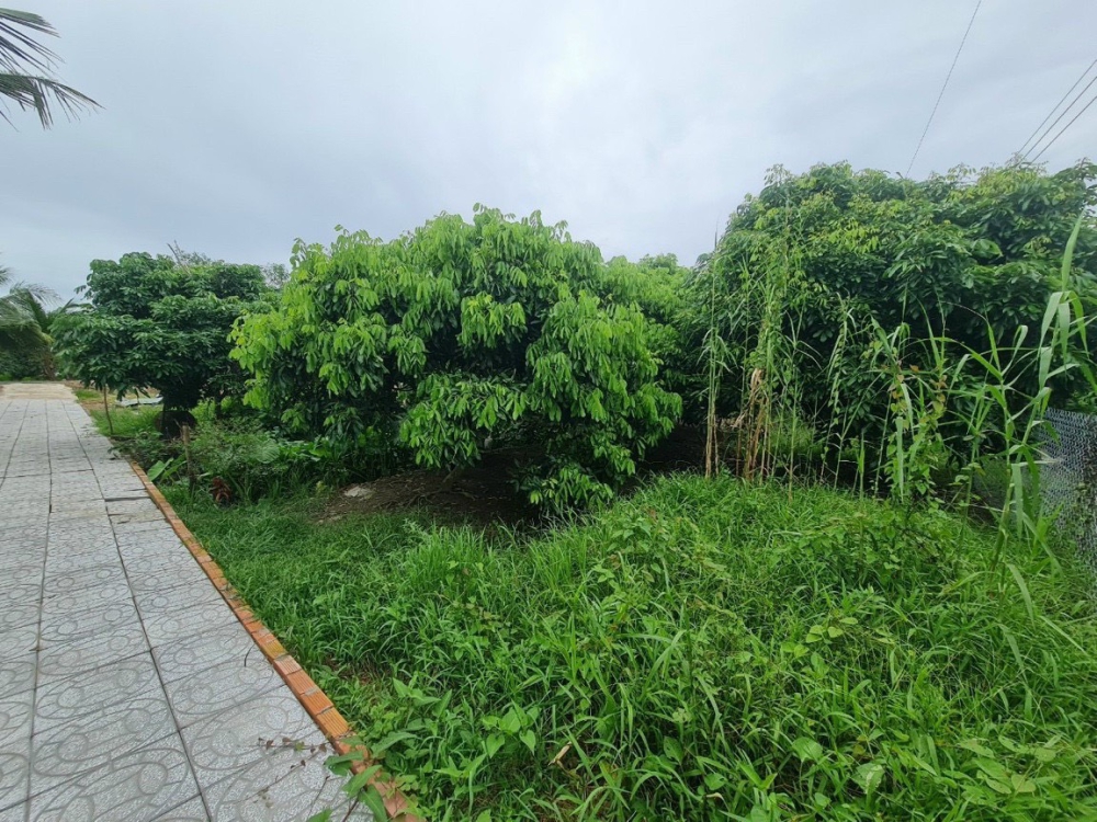 #152 ||760tr Sở Hữu Ngay Nền Đẹp 390m2 (90 ONT) Trường Long, Phong Điền, TPCT.