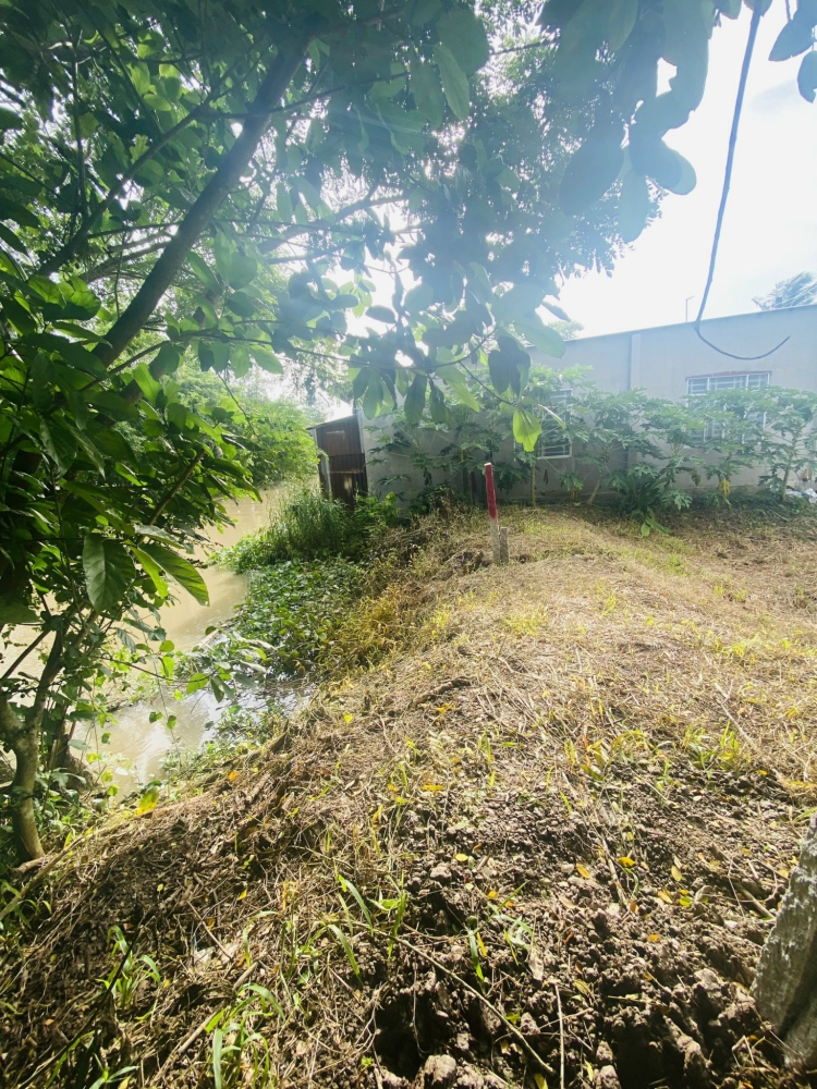#154 ||630tr (CG) Nền 135,5m2 Thổ Cư, Lộ Vàm Bi, Trường Long, Phong Điền.