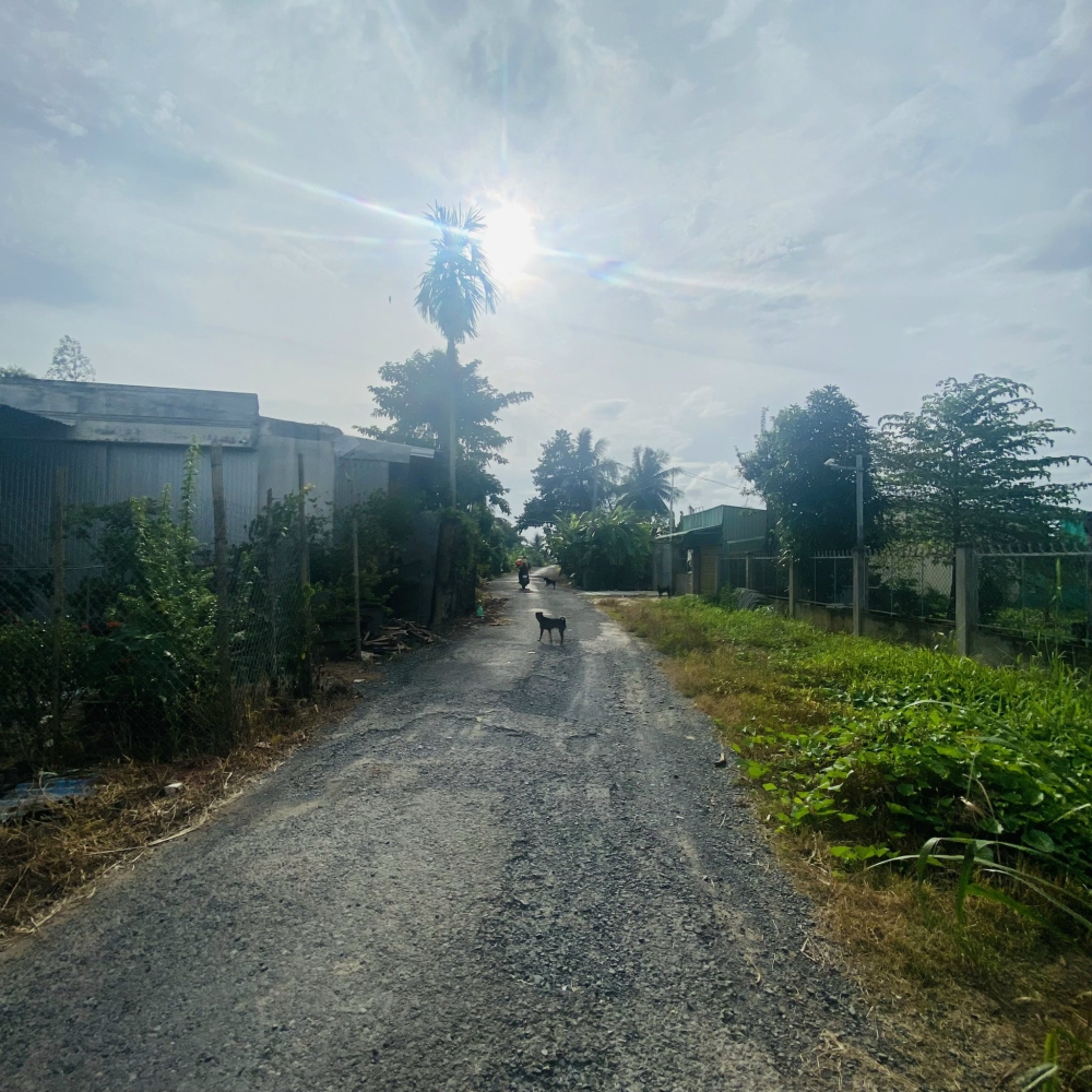 #154 ||630tr (CG) Nền 135,5m2 Thổ Cư, Lộ Vàm Bi, Trường Long, Phong Điền.