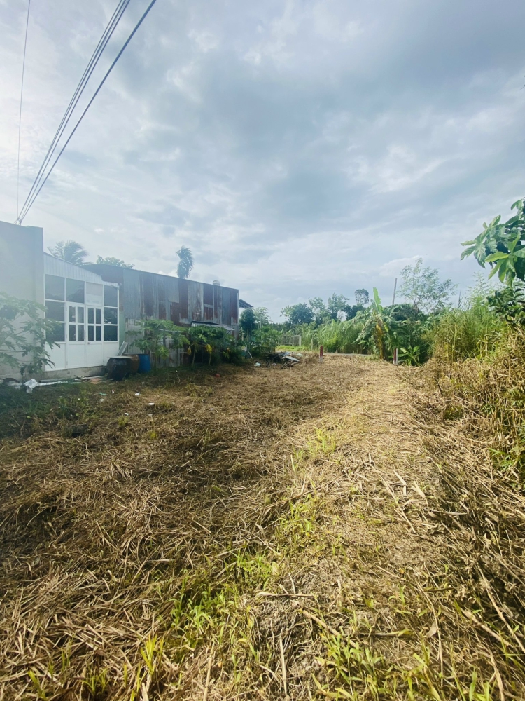 #154 ||630tr (CG) Nền 135,5m2 Thổ Cư, Lộ Vàm Bi, Trường Long, Phong Điền.