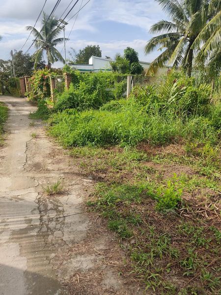 Chỉ 389trNền Nhơn Nhĩa, Phong Điền 93,3m2 (7,4*12), Tặng Bờ Sông Đã Làm Bờ Kè