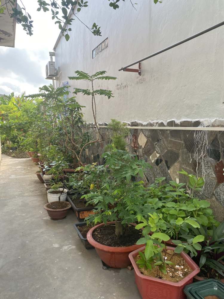 #66 || Nhà Trệt 54.92m2 Thổ Cư, H.233 Nguyễn Văn Cừ, An Hoà Ninh Kiều, TPCT.