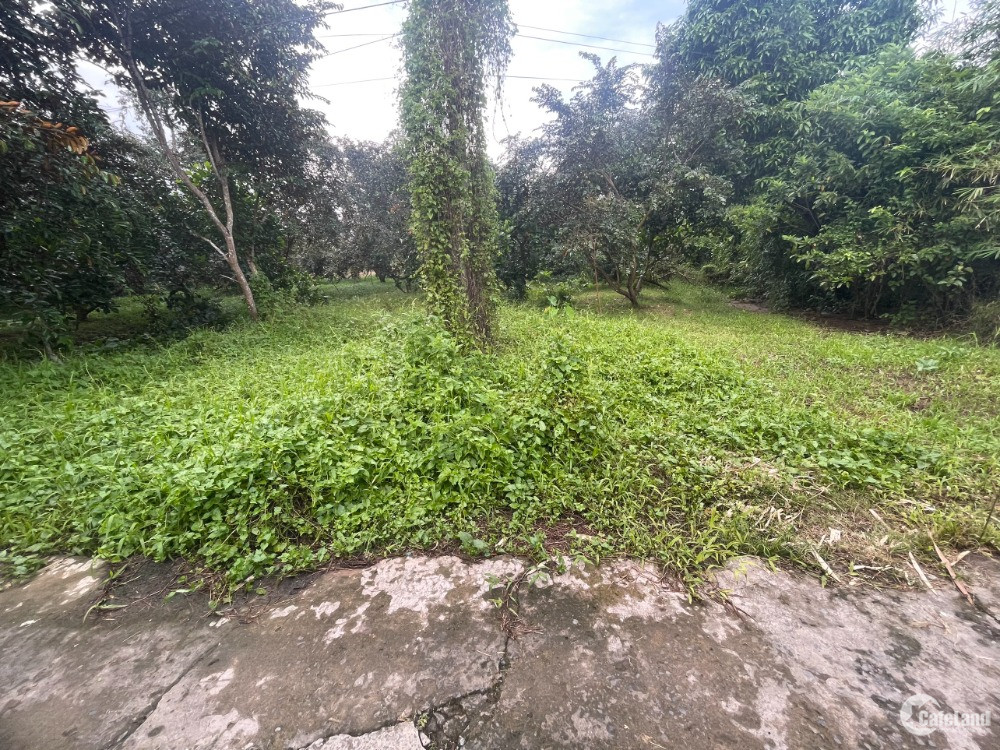 650tr ~ 1,9tr/m2Dãy Nền Đẹp 6,3*49 (336m2) Có 100 Thổ Cư, Rạch Ba Cui, Cách